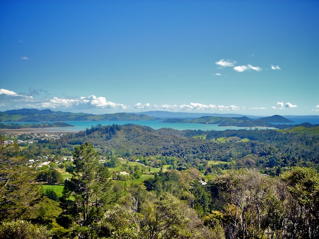 NZ Trainride